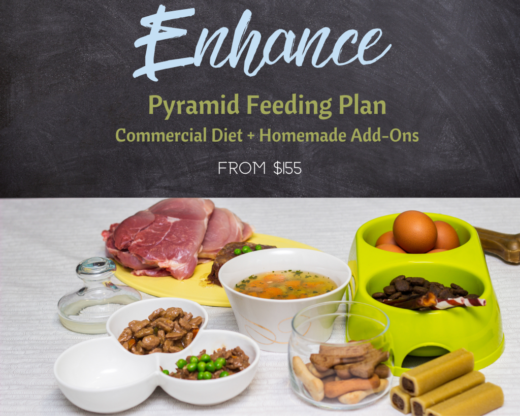 Enhance Feeding Plan